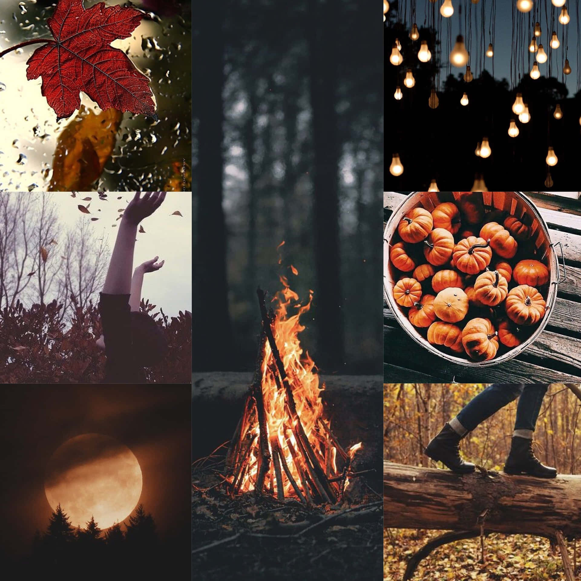 Creative Fall Collage With Campfire Wallpaper