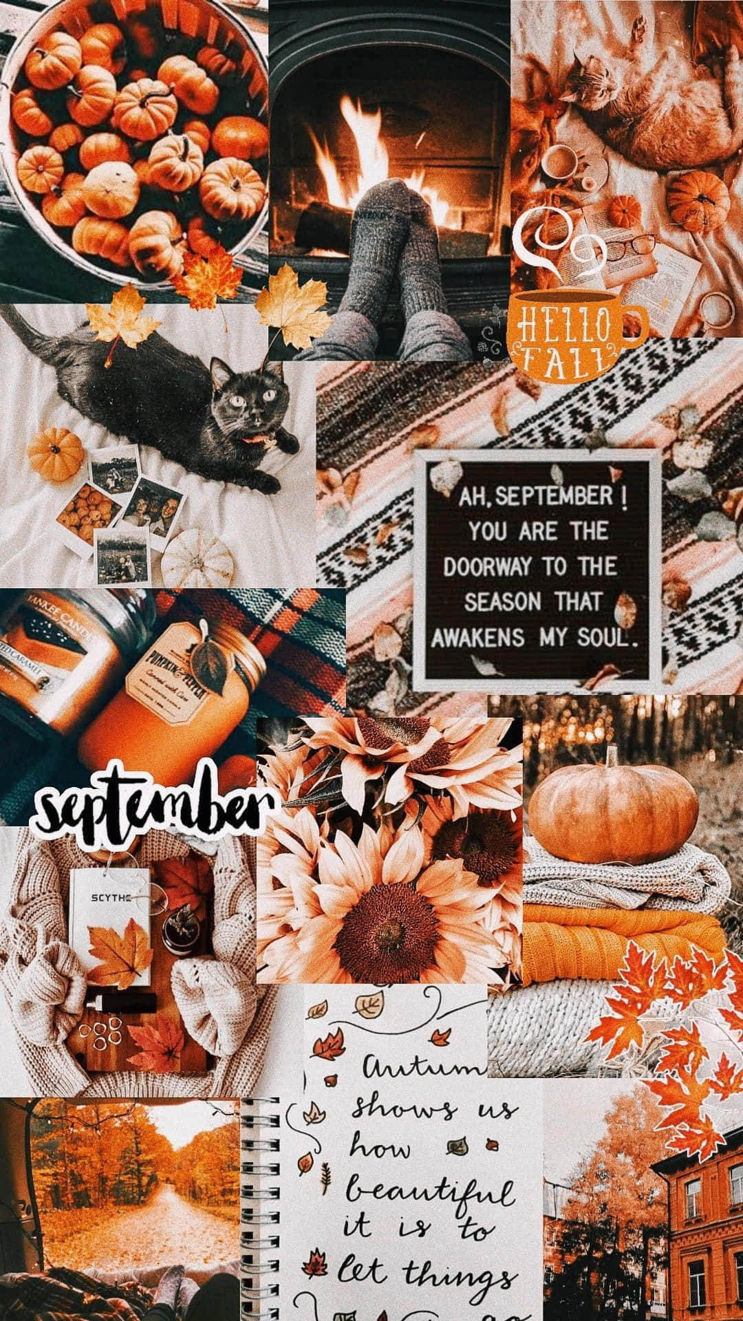 Fall Collage Pumpkins And Maple Leaves Wallpaper