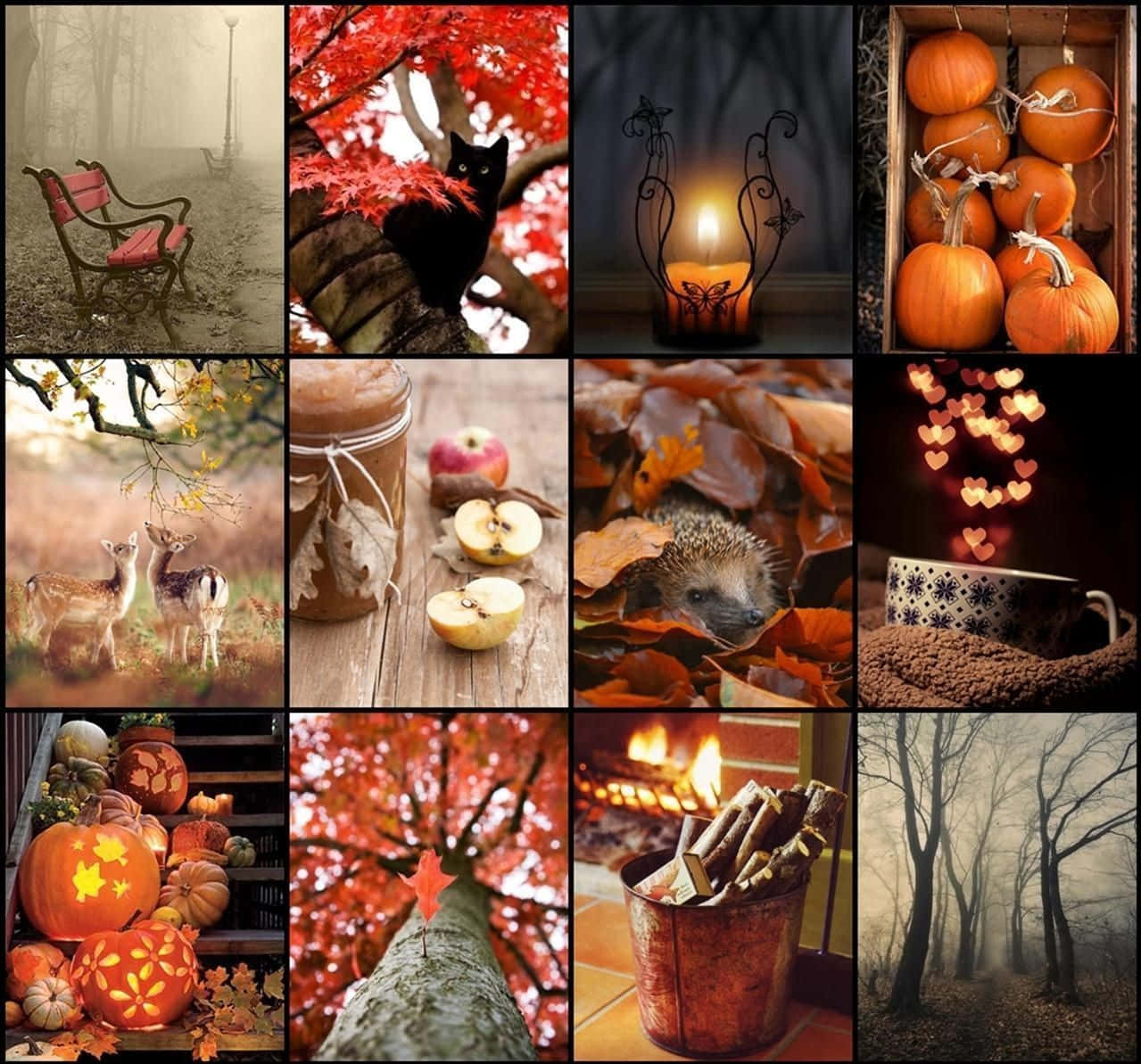 Begrüßensie Die Wechselnden Jahreszeiten Mit Einem Lebendigen Herbst-collage-desktop-hintergrundbild. Wallpaper