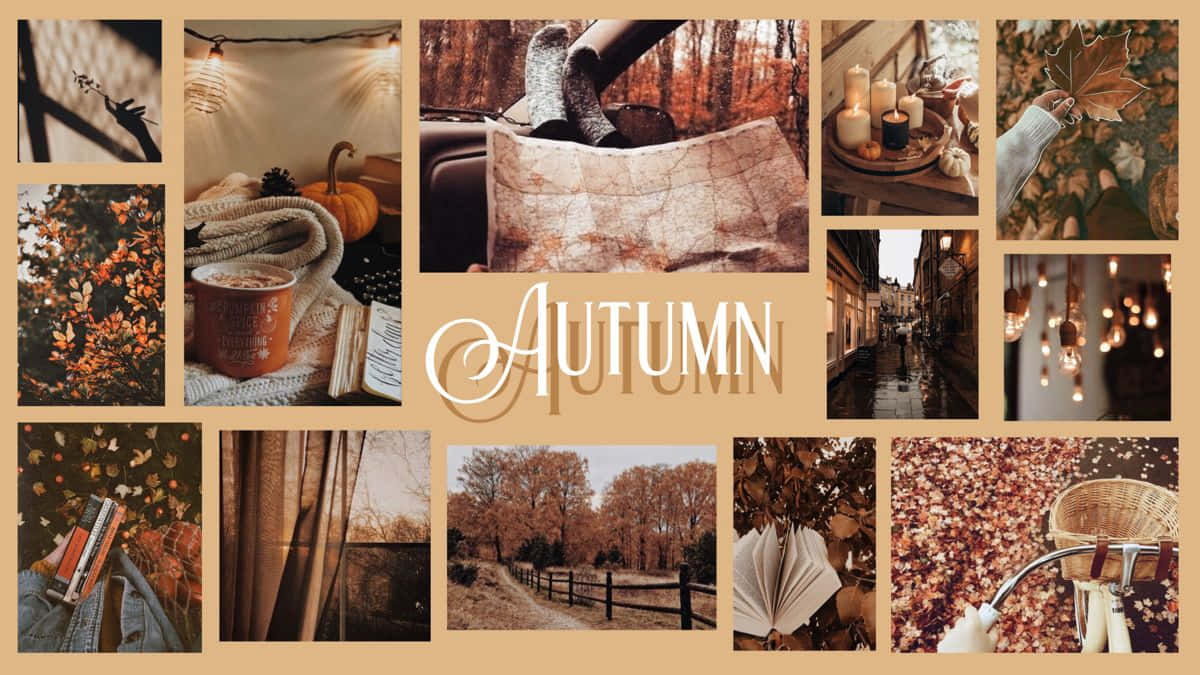 Goditii Colori Mutevoli Dell'autunno Con Questa Bellissima Collage Per Desktop Sfondo