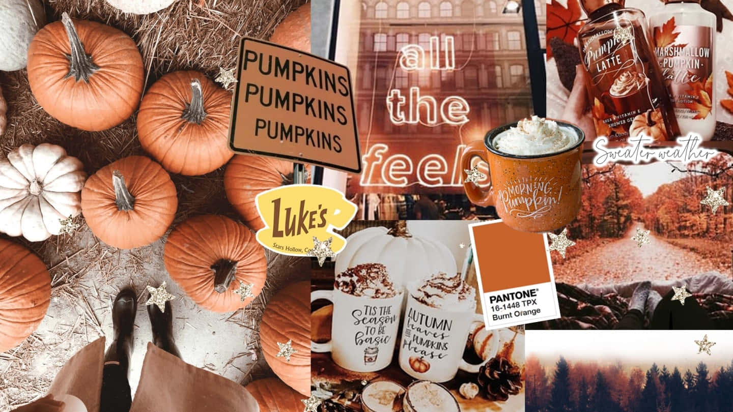 A Collage Of Pumpkins, Pumpkins, And Pumpkins Wallpaper