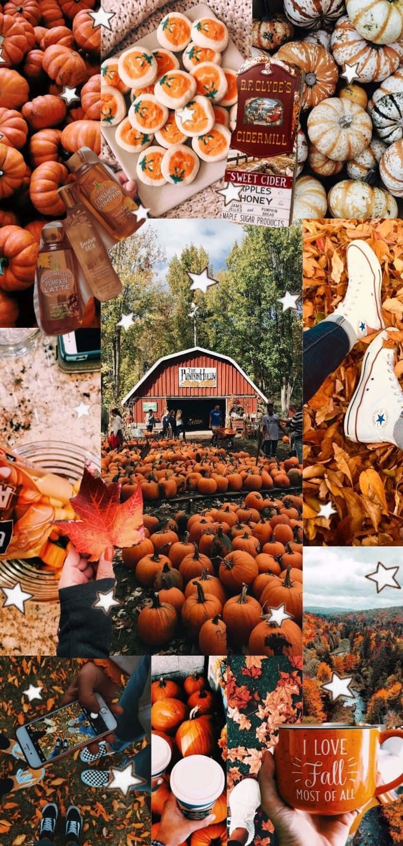 Goditiil Cambiamento Delle Foglie E I Bellissimi Colori Dell'autunno In Questa Collages Di Sfondi Per Desktop. Sfondo