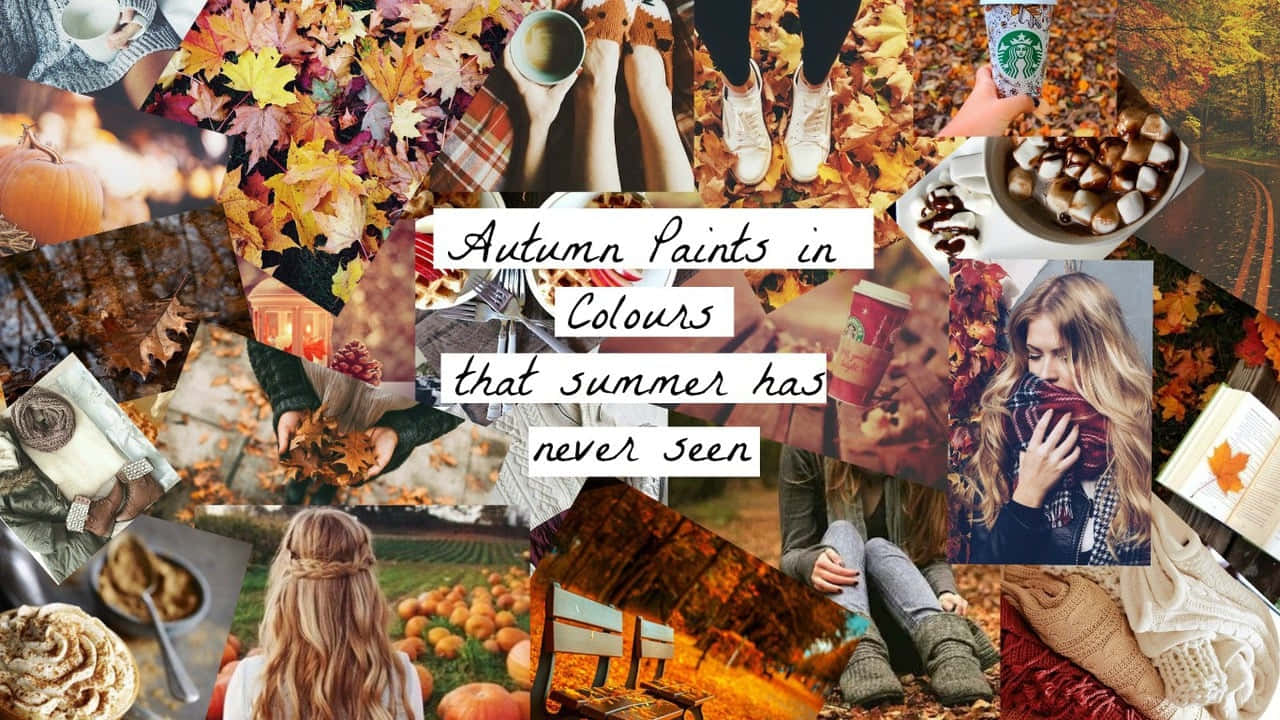 Einewunderschöne Herbst-collage Mit Einer Vielzahl Von Farben Und Landschaften Wallpaper