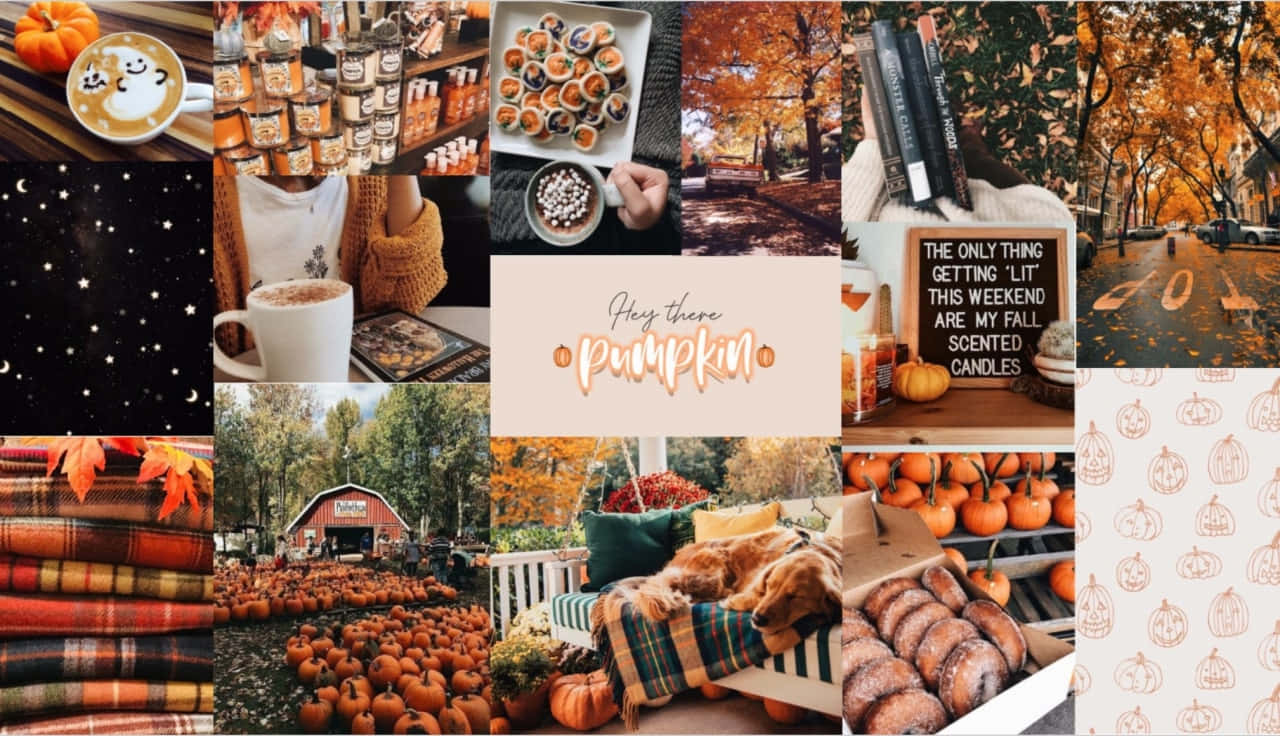 Celebrate the changing season with this vibrant fall collage desktop Wallpaper