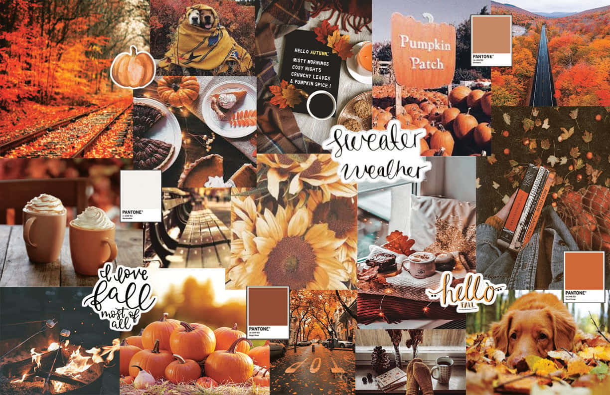 Autumn Mood Board By Sarah Saunders Wallpaper