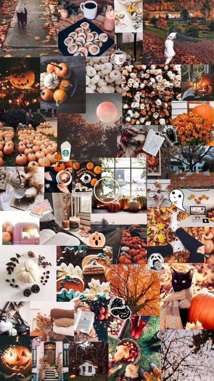 Et collage af efterår skrivebord billeder. Wallpaper