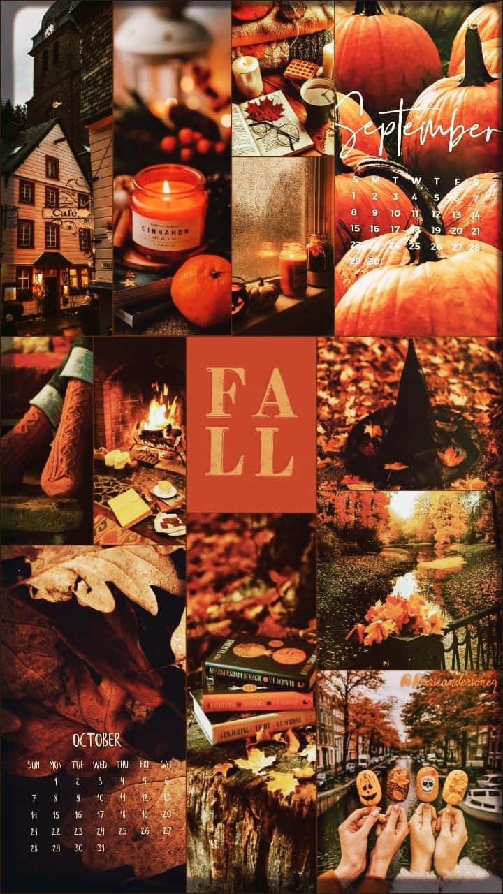 Dieperfekte Herbst-desktop-collage, Um Dich In Stimmung Für Den Herbst Zu Bringen. Wallpaper
