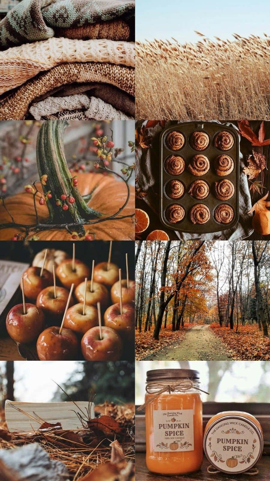 Enjoy the autumn season with a seasonal collage of fall leaves, pumpkins and squirrels. Wallpaper