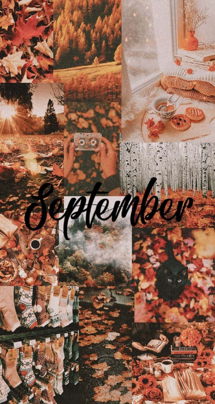 September Wallpapers, Autumn Wallpapers, Autumn Wallpapers, Autumn Wallpapers, Autumn Wallpapers, Autumn Wallpapers, Autumn Wallpapers, Autumn Wallpapers Wallpaper