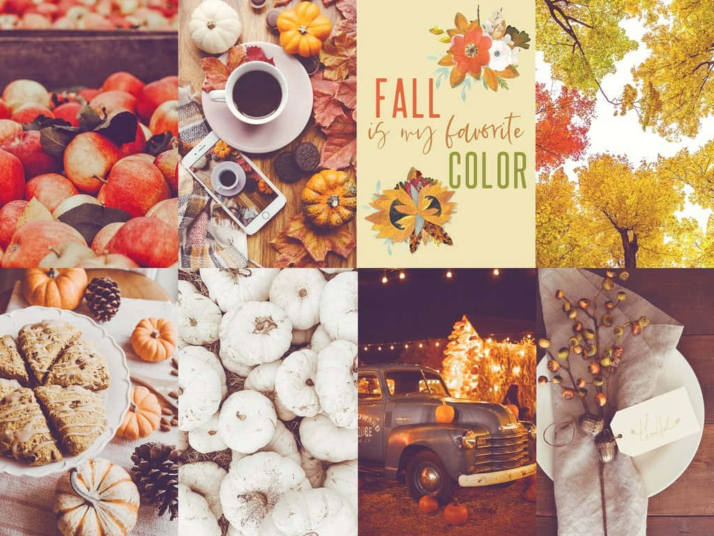 Nyd de livlige farver af efteråret. Wallpaper