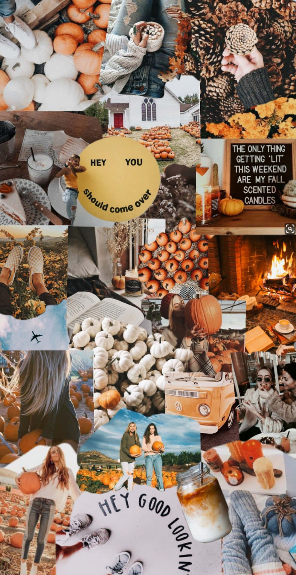Fall Collage With White Pumpkins Wallpaper