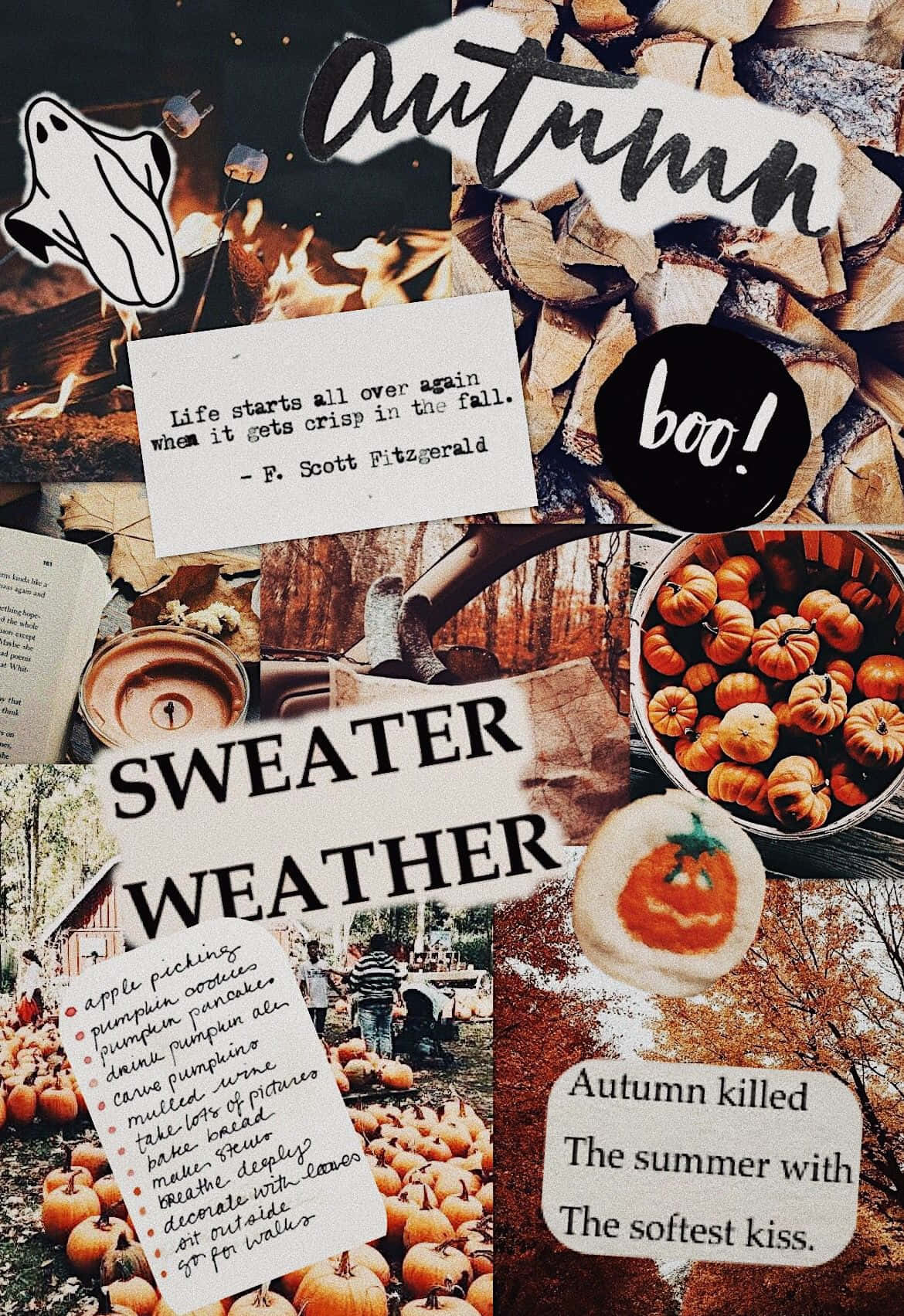 Fall Collage Smores And Hot Chocolate Wallpaper