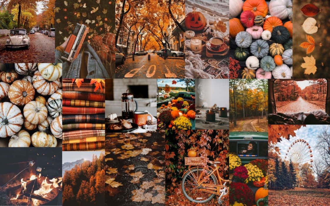 A beautiful Fall Collage capturing the awe and glory of nature Wallpaper