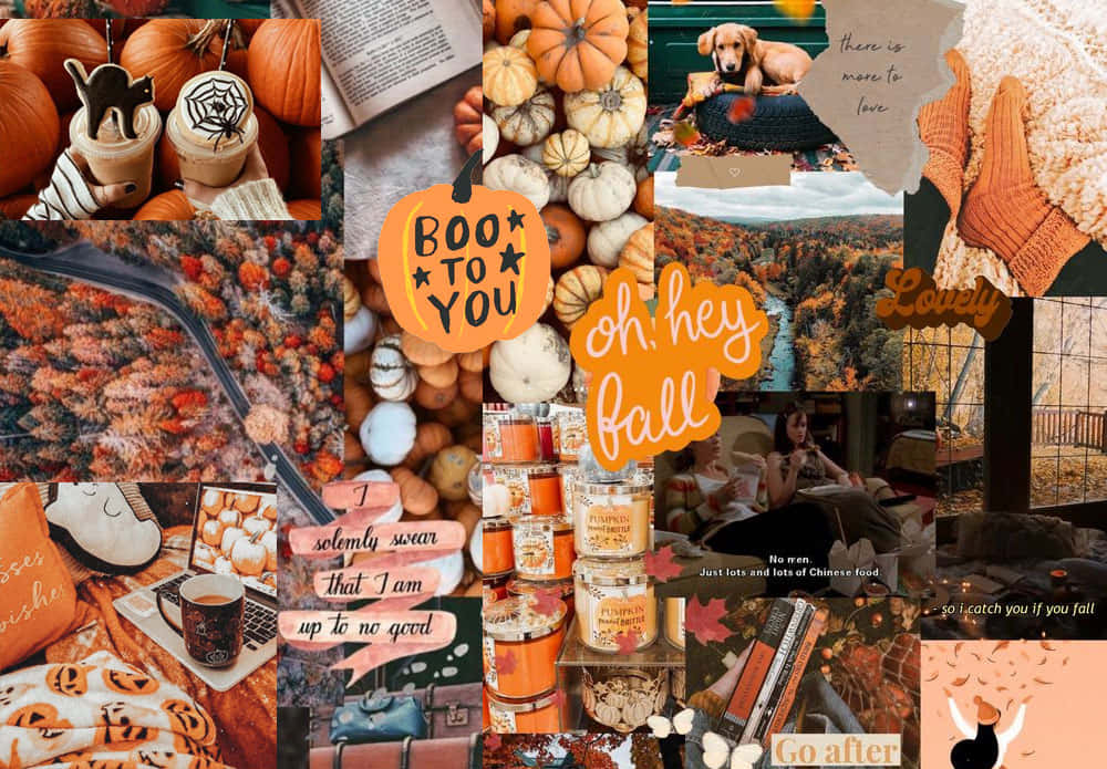 A Collage Of Autumn Items And Pictures Wallpaper