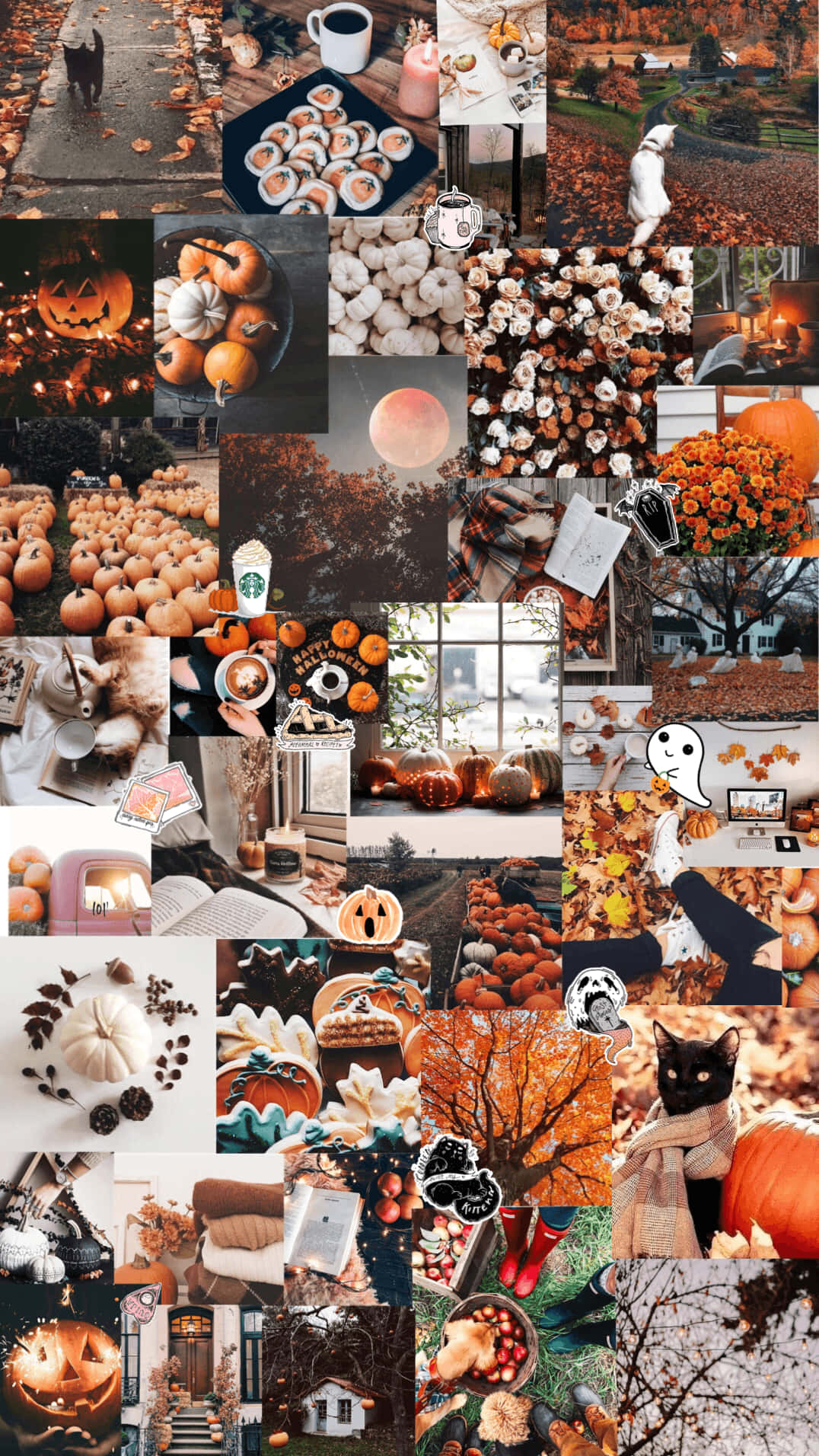Celebral'autunno Con Un Collage Rustico Sfondo