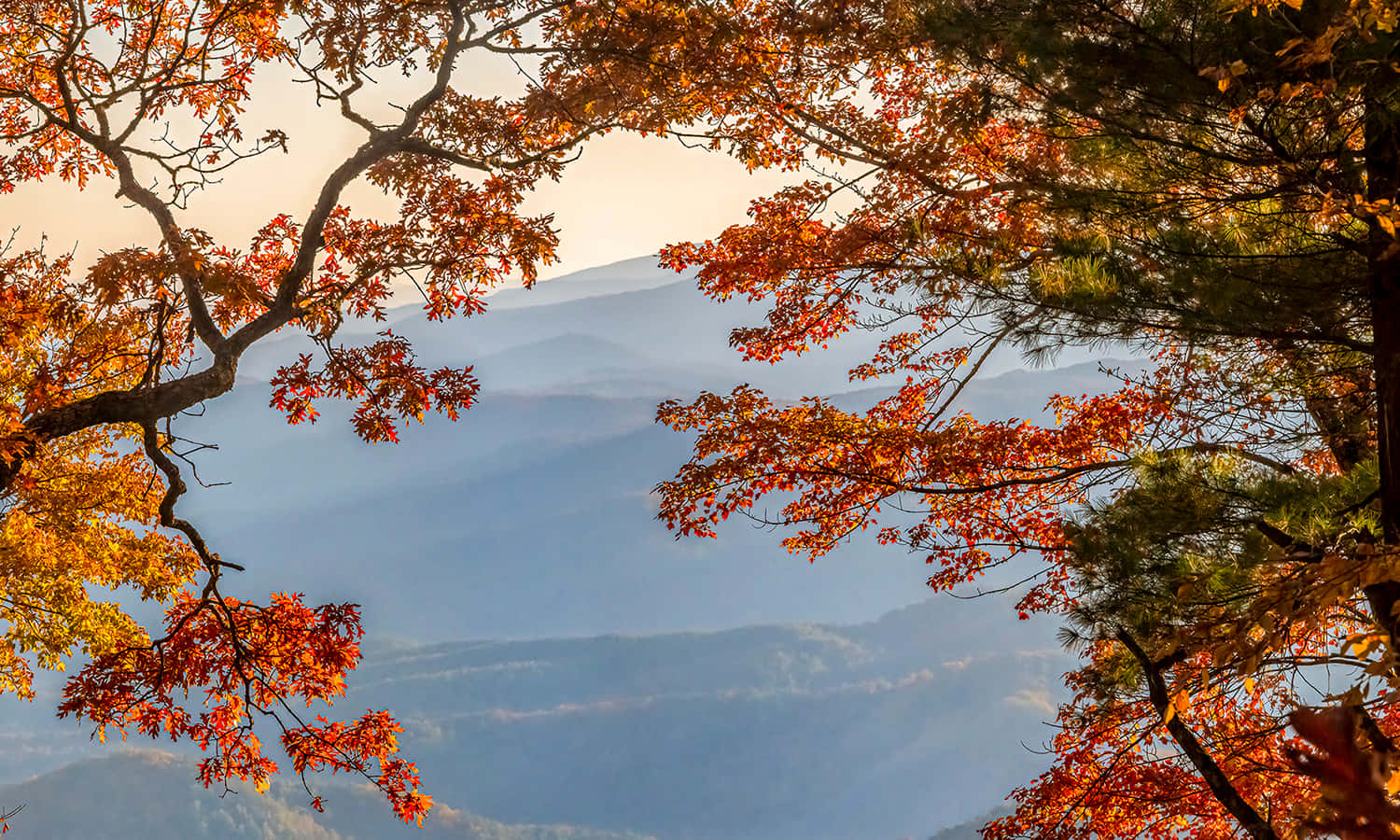 A Vibrant Fall Colors Landscape