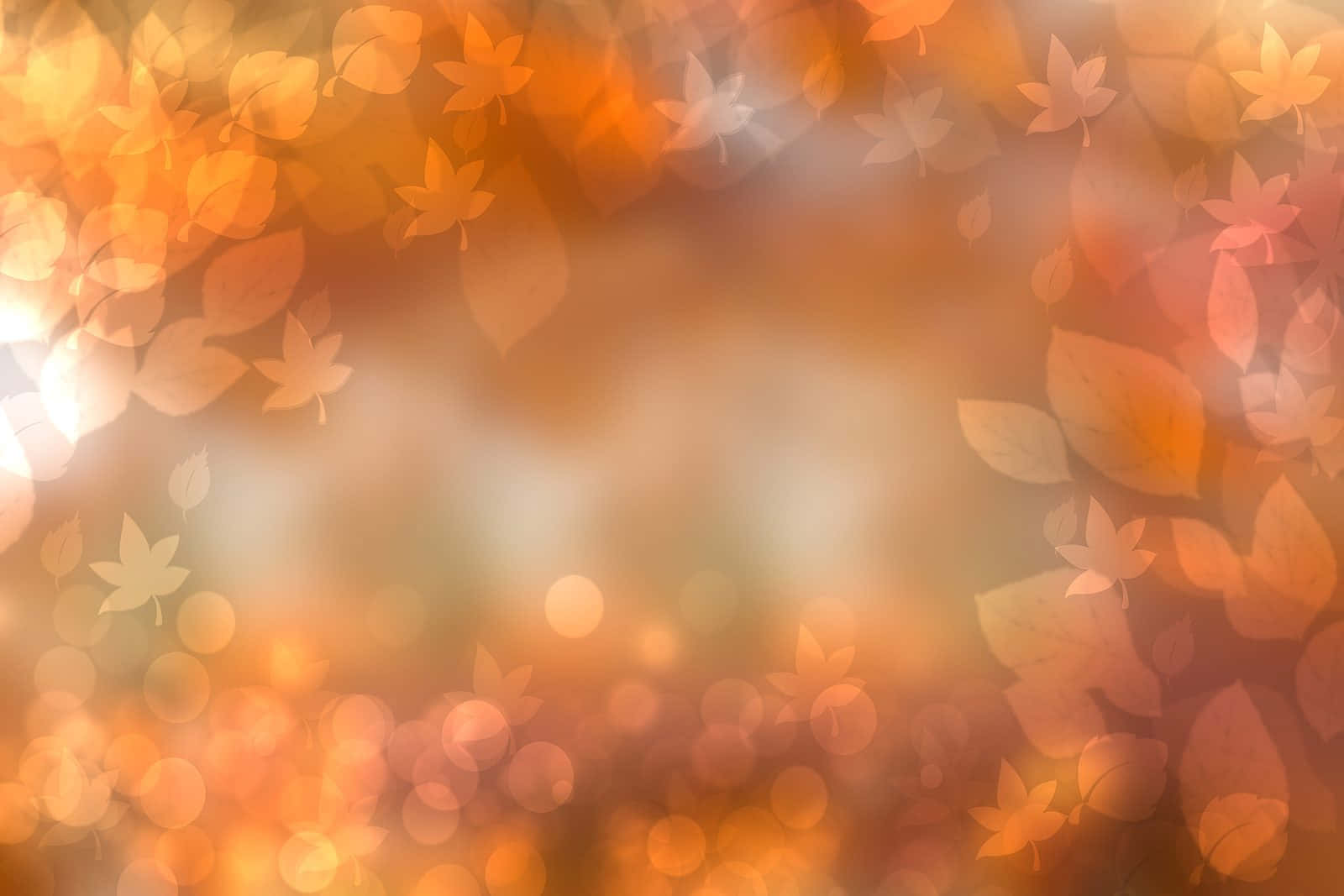 Herbstfarben1600 X 1067 Hintergrund