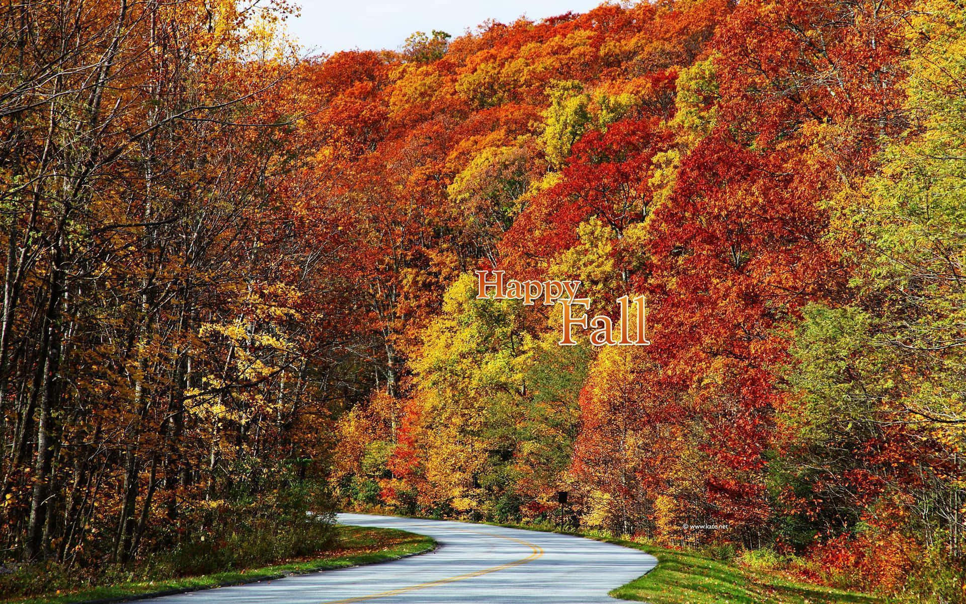 Nyd de smukke farver fra efteråret. Wallpaper