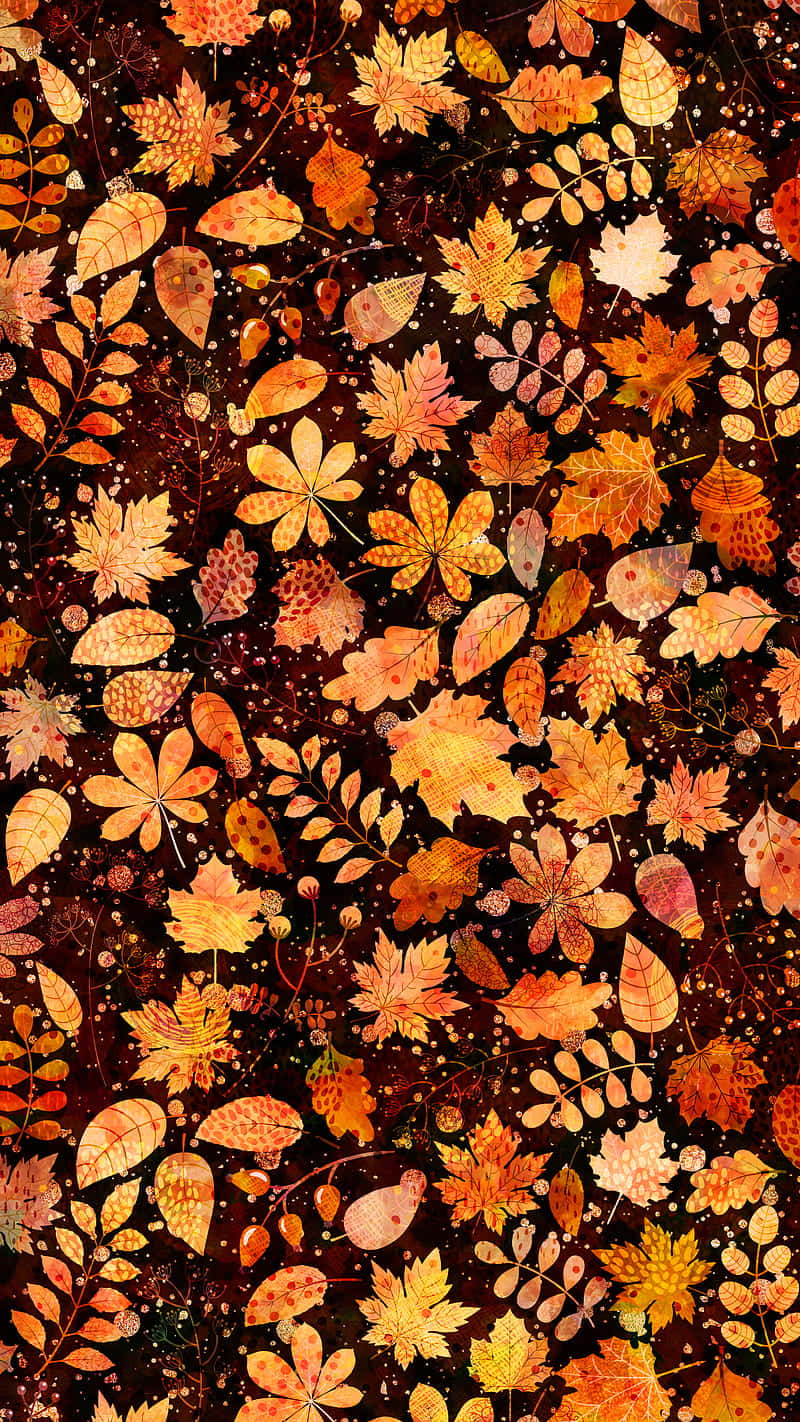 Vibrant Fall Colors Nature Background