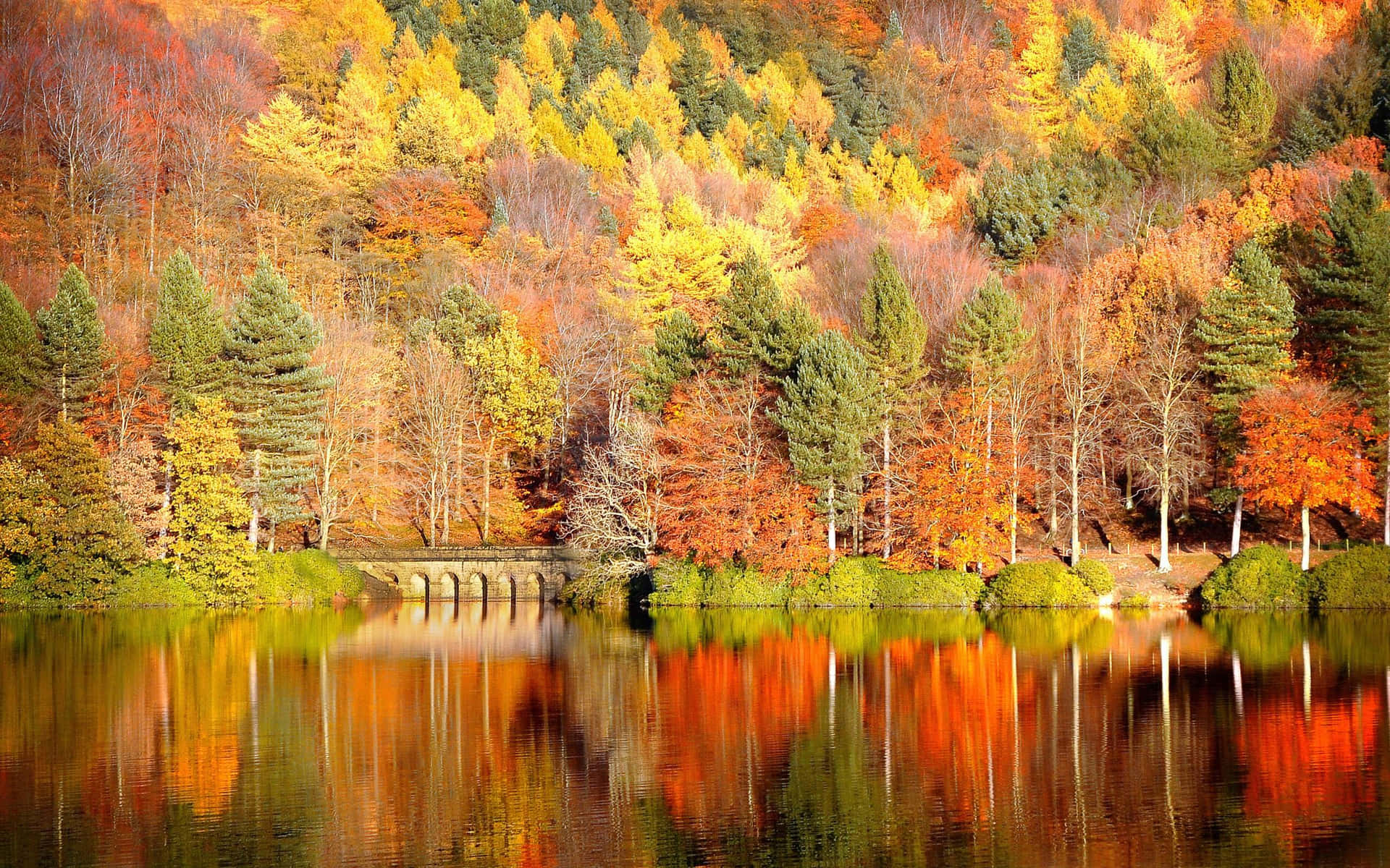 Naturen i sin smukkeste form - et efterårss landskab fyldt med smukke efterårsfarver. Wallpaper