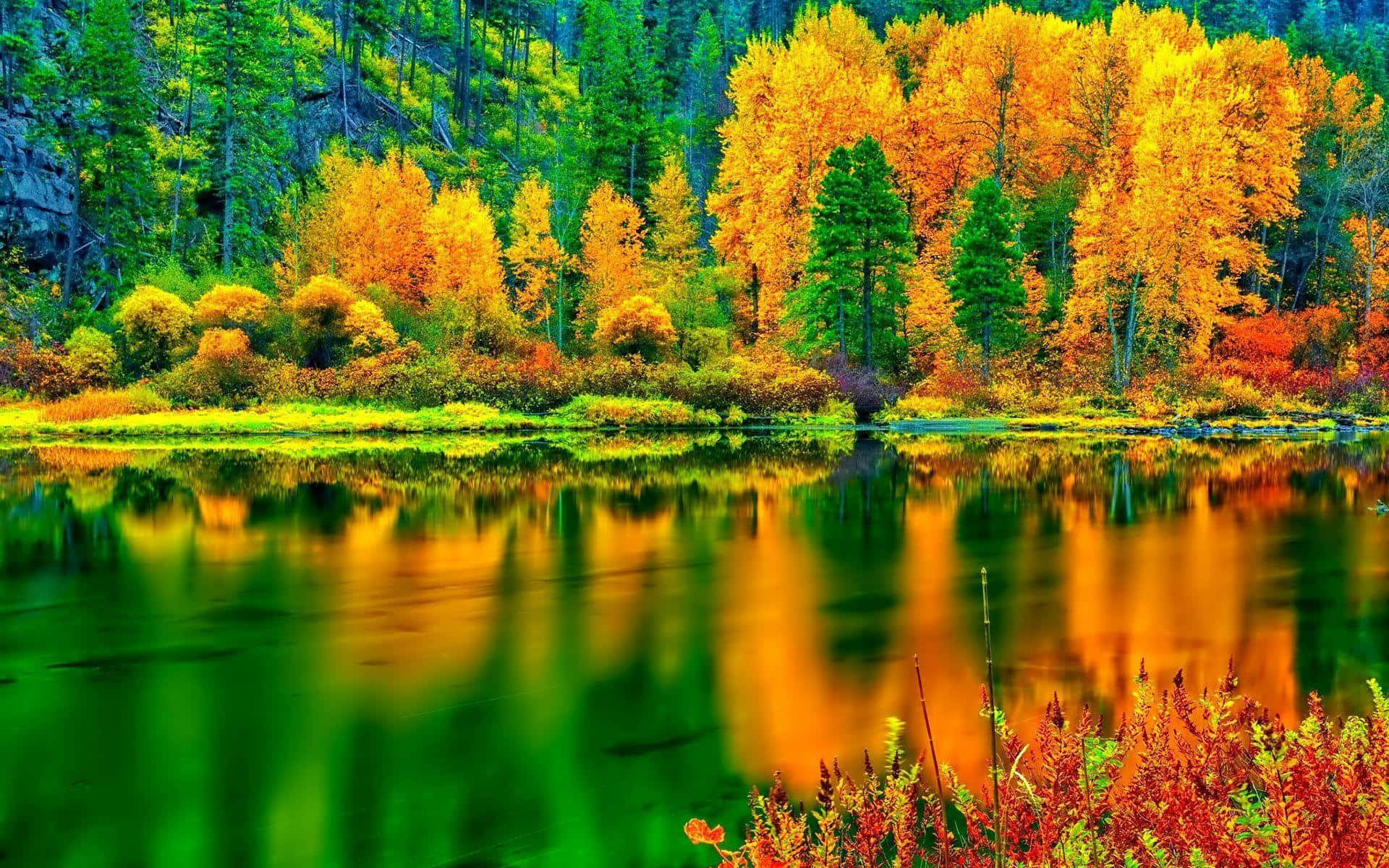 Fall Colors Trees By Lake Wallpaper