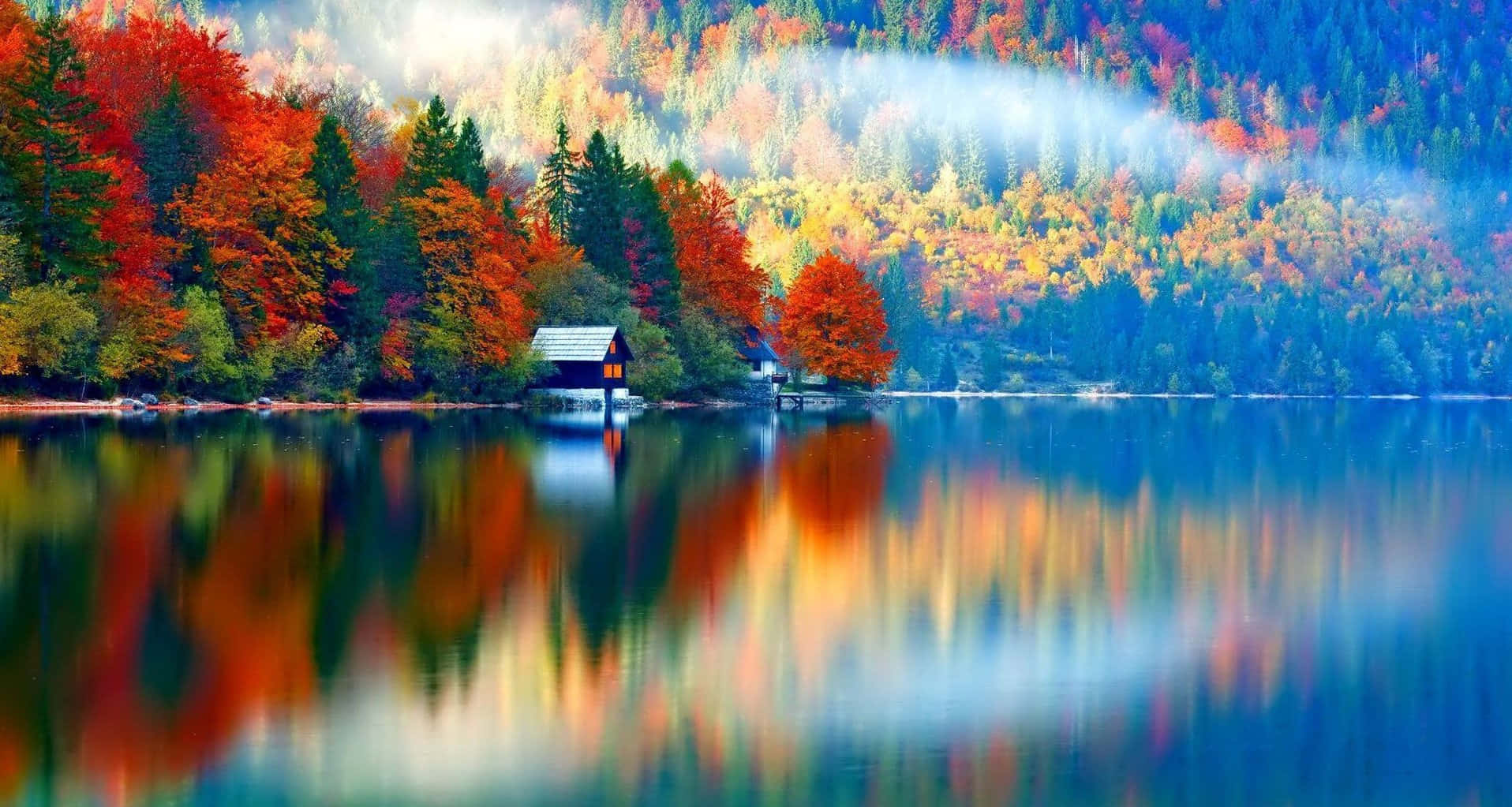 Daserleben Der Schönheit Der Herbstfarben Wallpaper