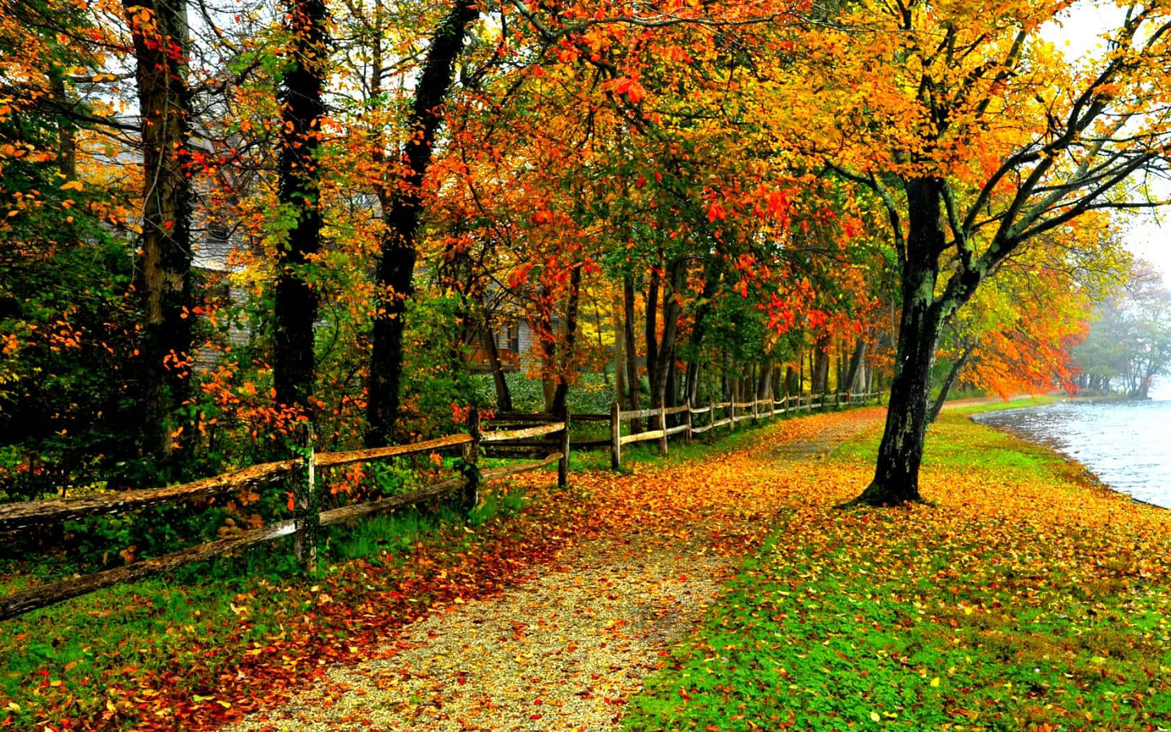 Verstärkensie Die Herbststimmung In Ihrem Zuhause Mit Diesen Warmen Farben. Wallpaper