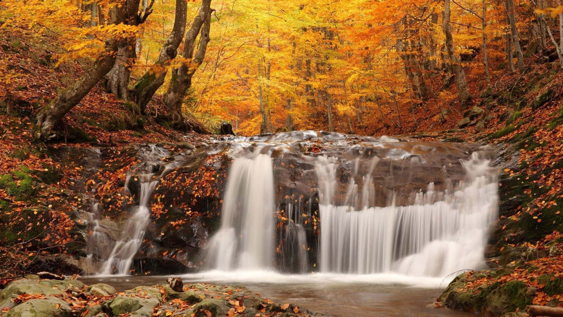 Forest Waterfall Fall Computer Background