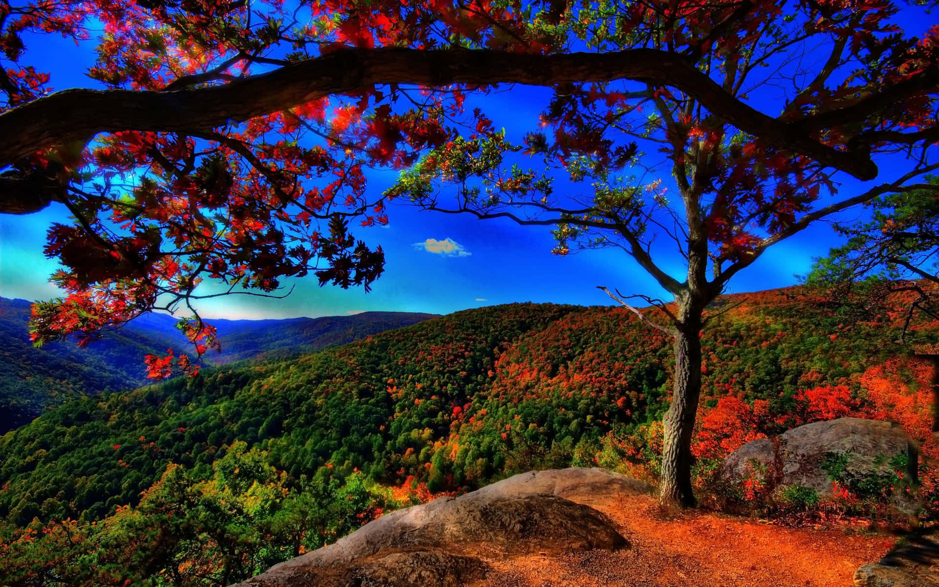 Cliff Scenery Fall Computer Background