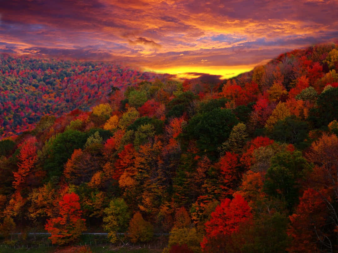 Fall Country Landscape Wallpaper