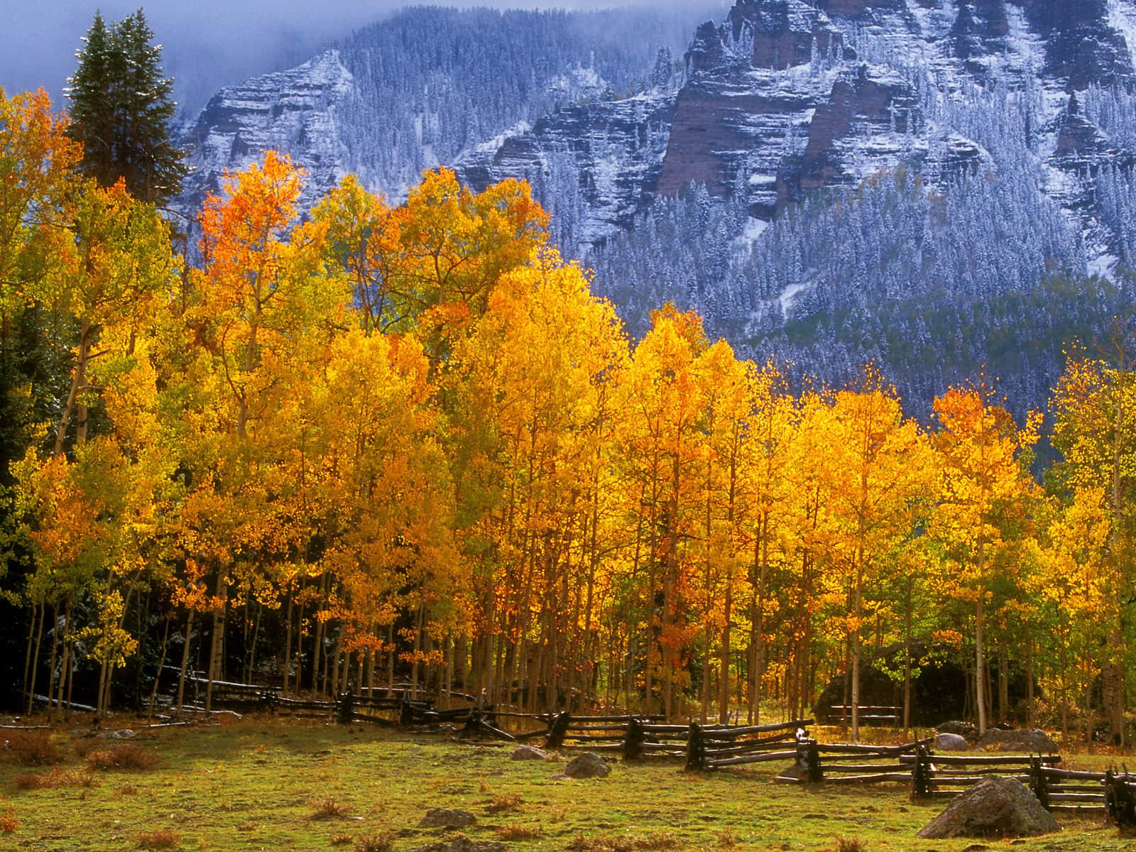 Serene Fall Country Landscape Wallpaper
