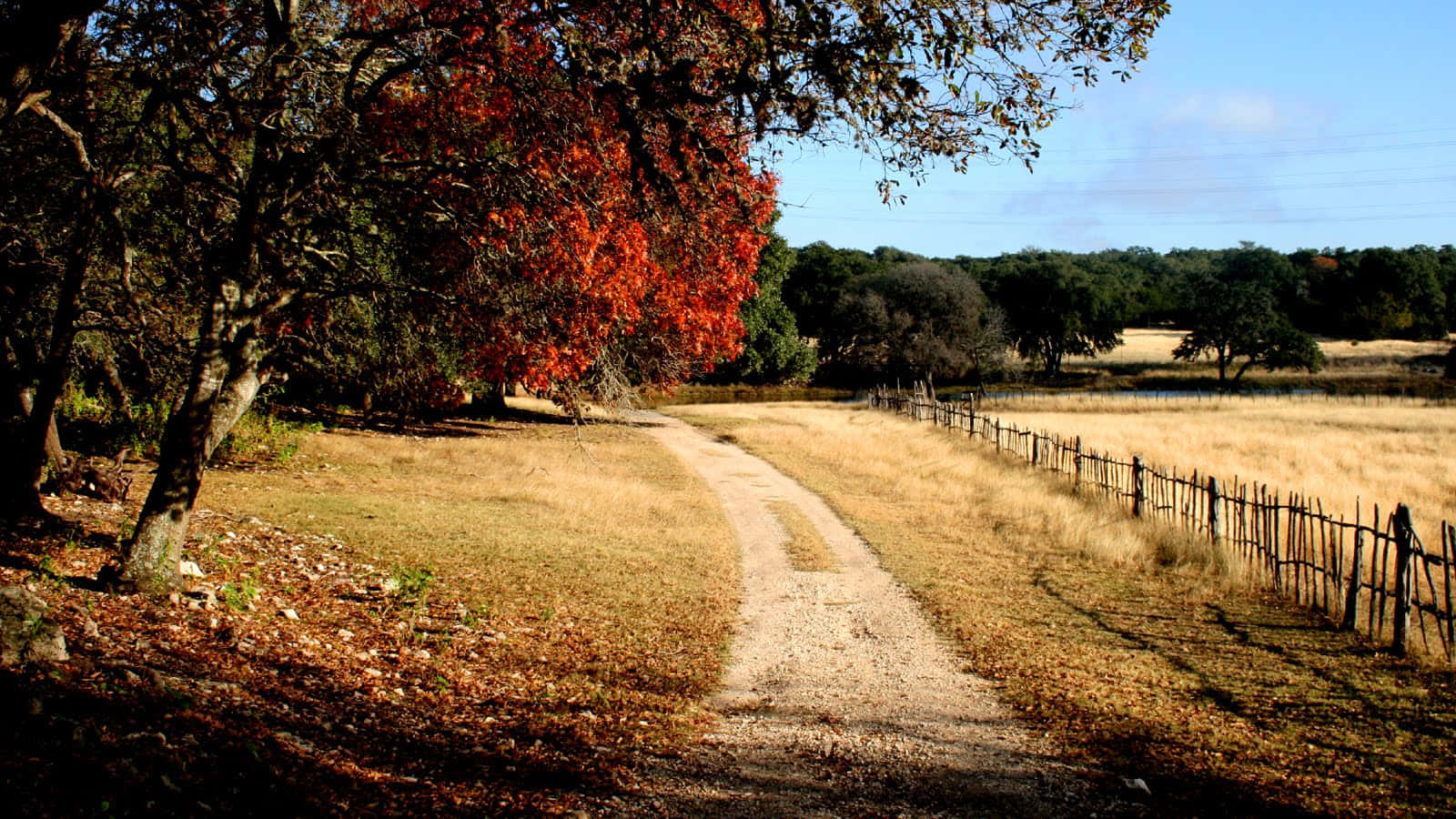 Scenic Fall Country Landscape Wallpaper