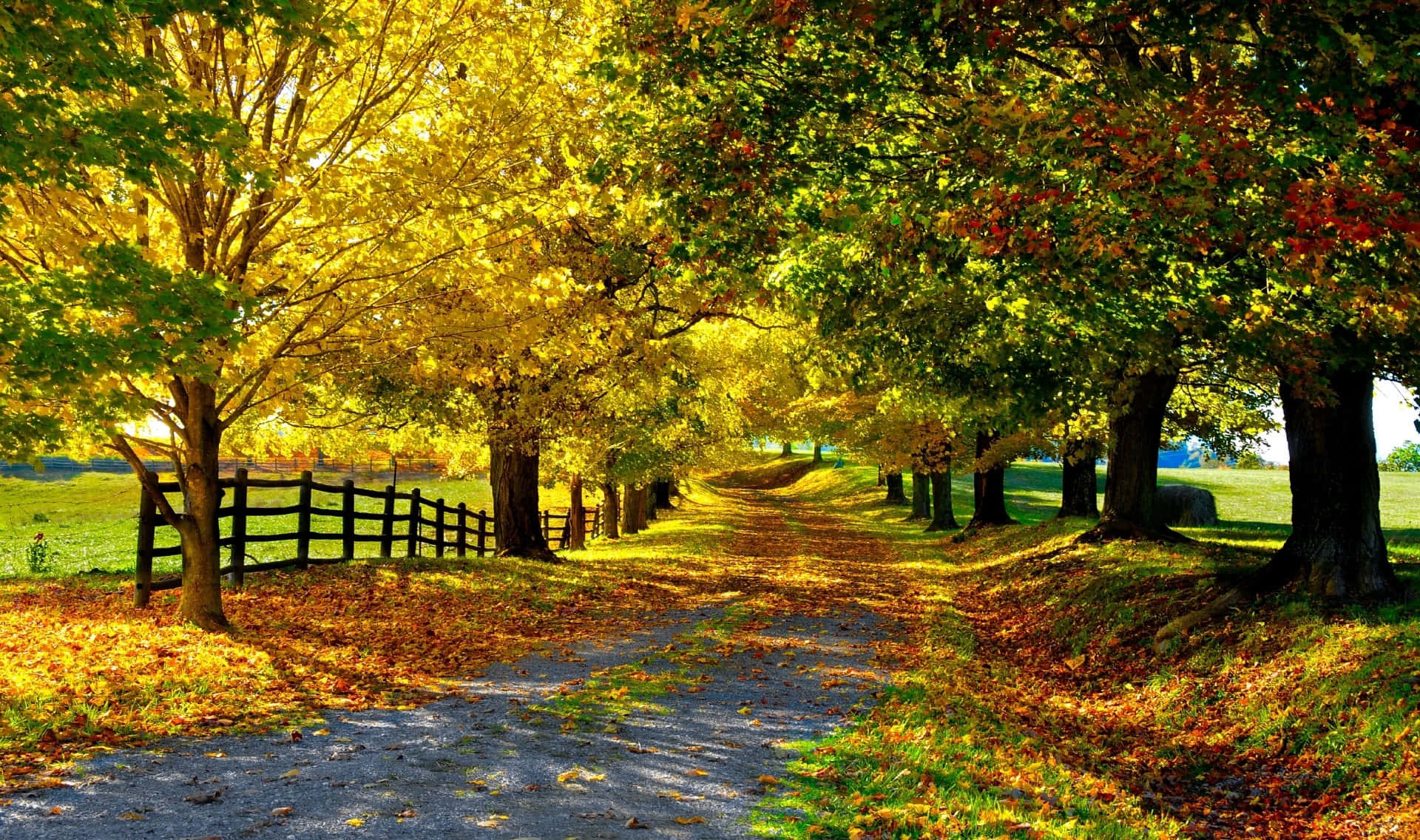 Tranquil autumn scene in Fall Country Wallpaper