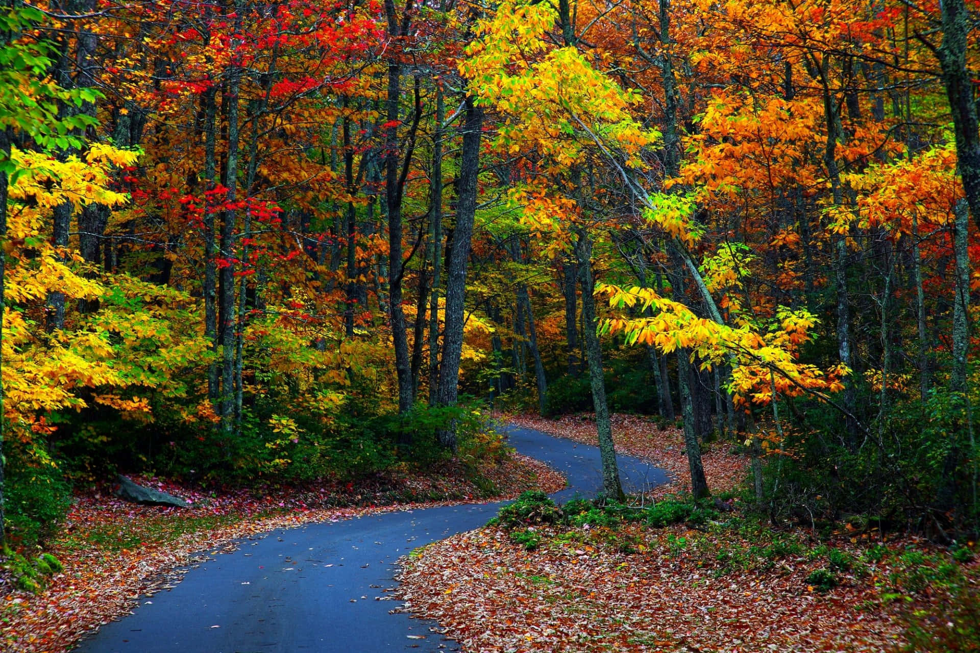 Fall Country Scenery Wallpaper