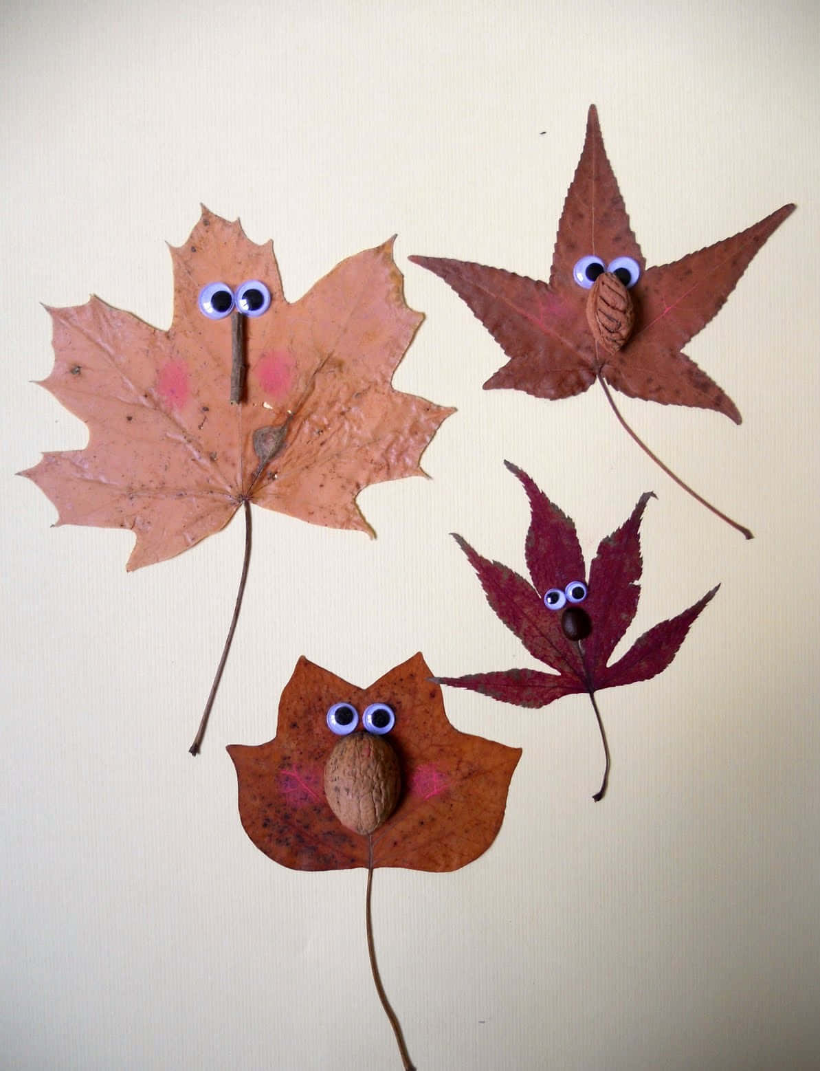 Unique Fall Crafts on Display Wallpaper