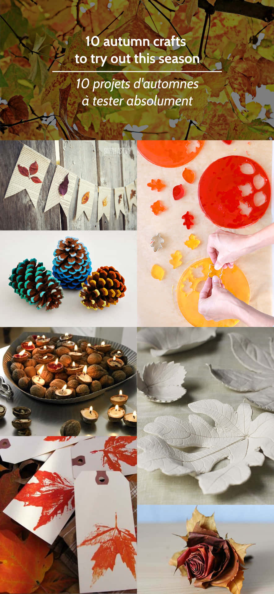 Beautiful Fall Craft Display for Home Decor Wallpaper