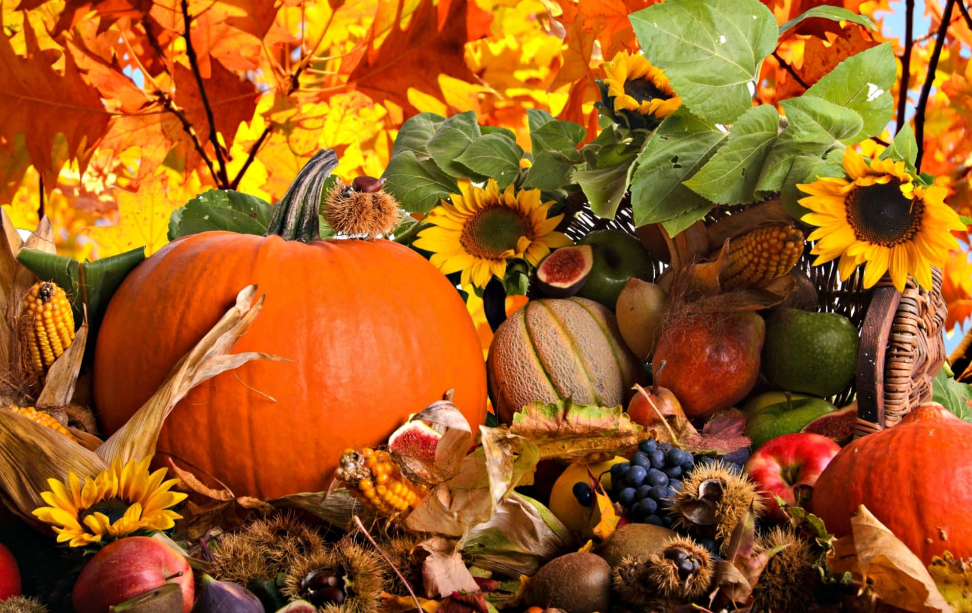 Artisanats D'automne Colorés Disposés Sur Une Table En Bois Fond d'écran