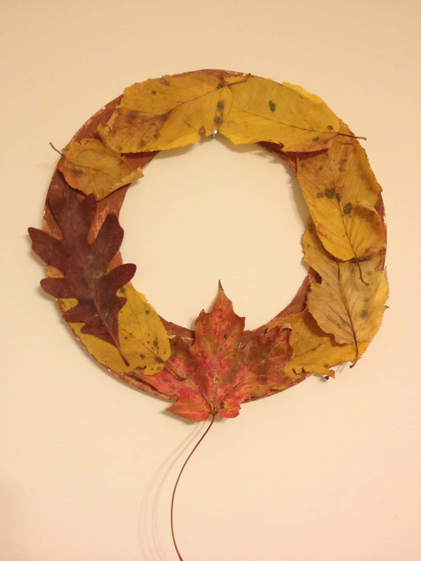 Handmade colorful autumn wreath on a wooden background Wallpaper