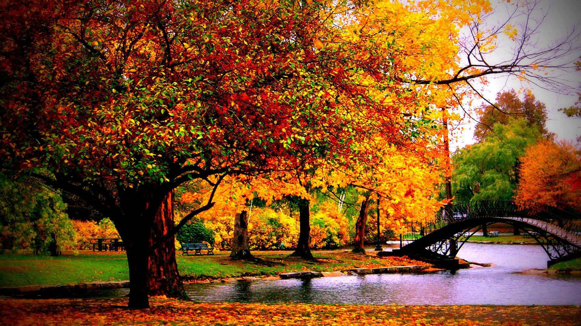 Genießensie Den Malerischen Blick Auf Einen Farbenfrohen Herbst