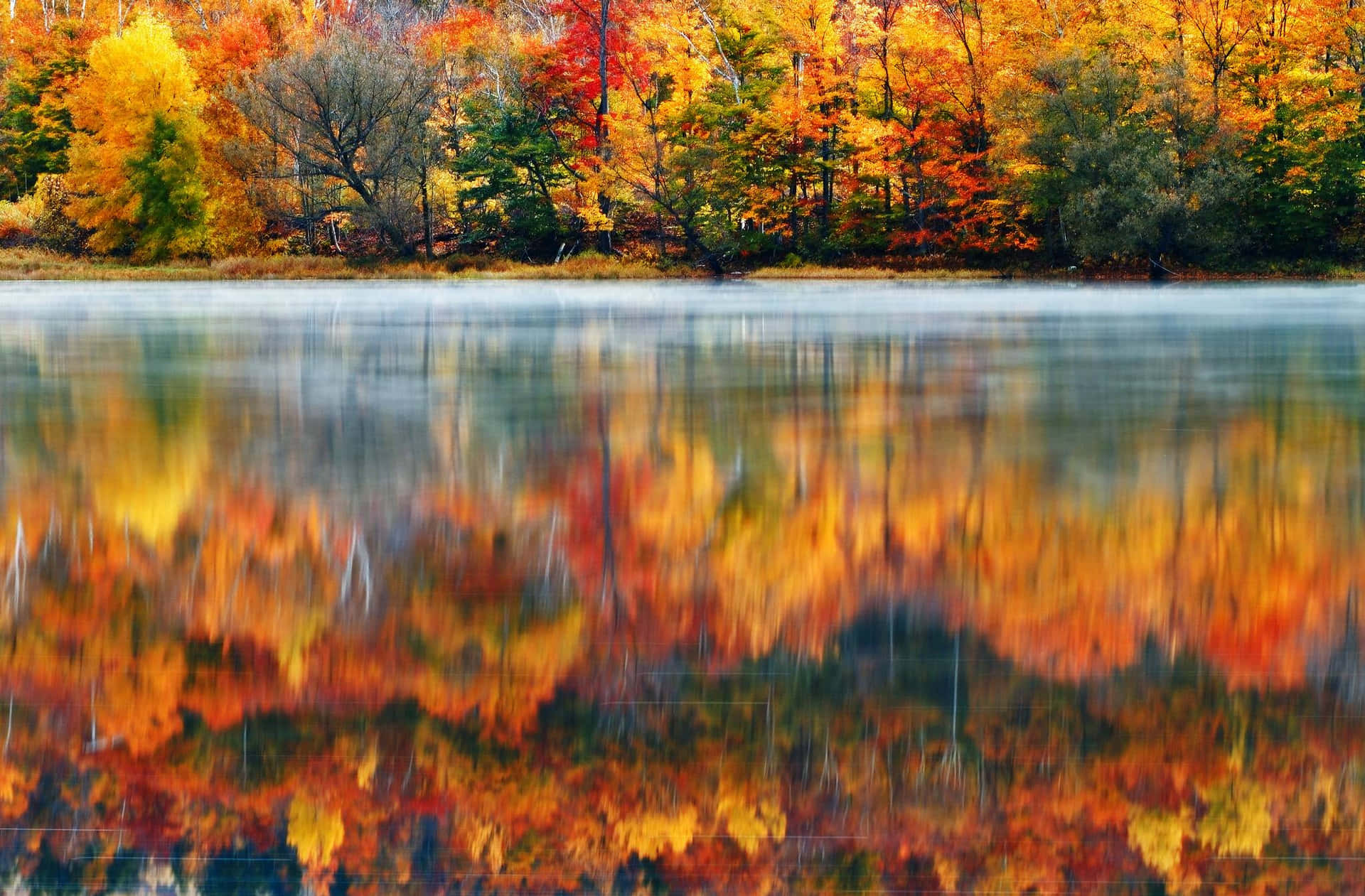 Daydream of Fall - Enjoy the Misty Mystique of the Season