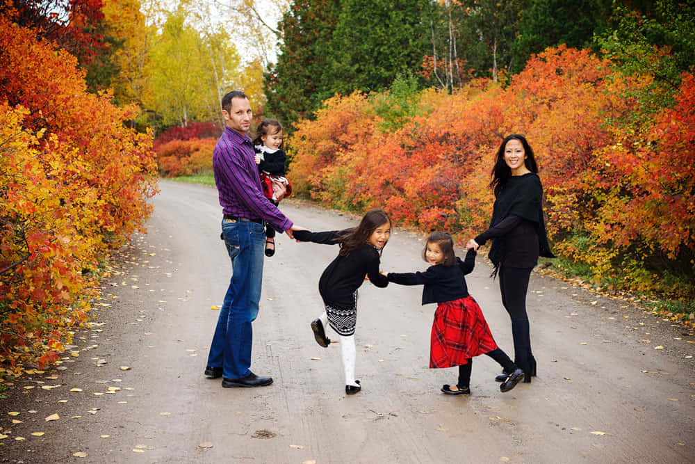 Enjoy the beautiful colours of Autumn with your family