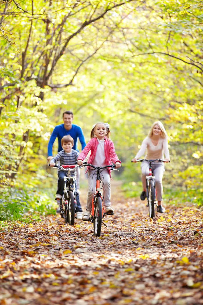Make cherished memories this fall with your family