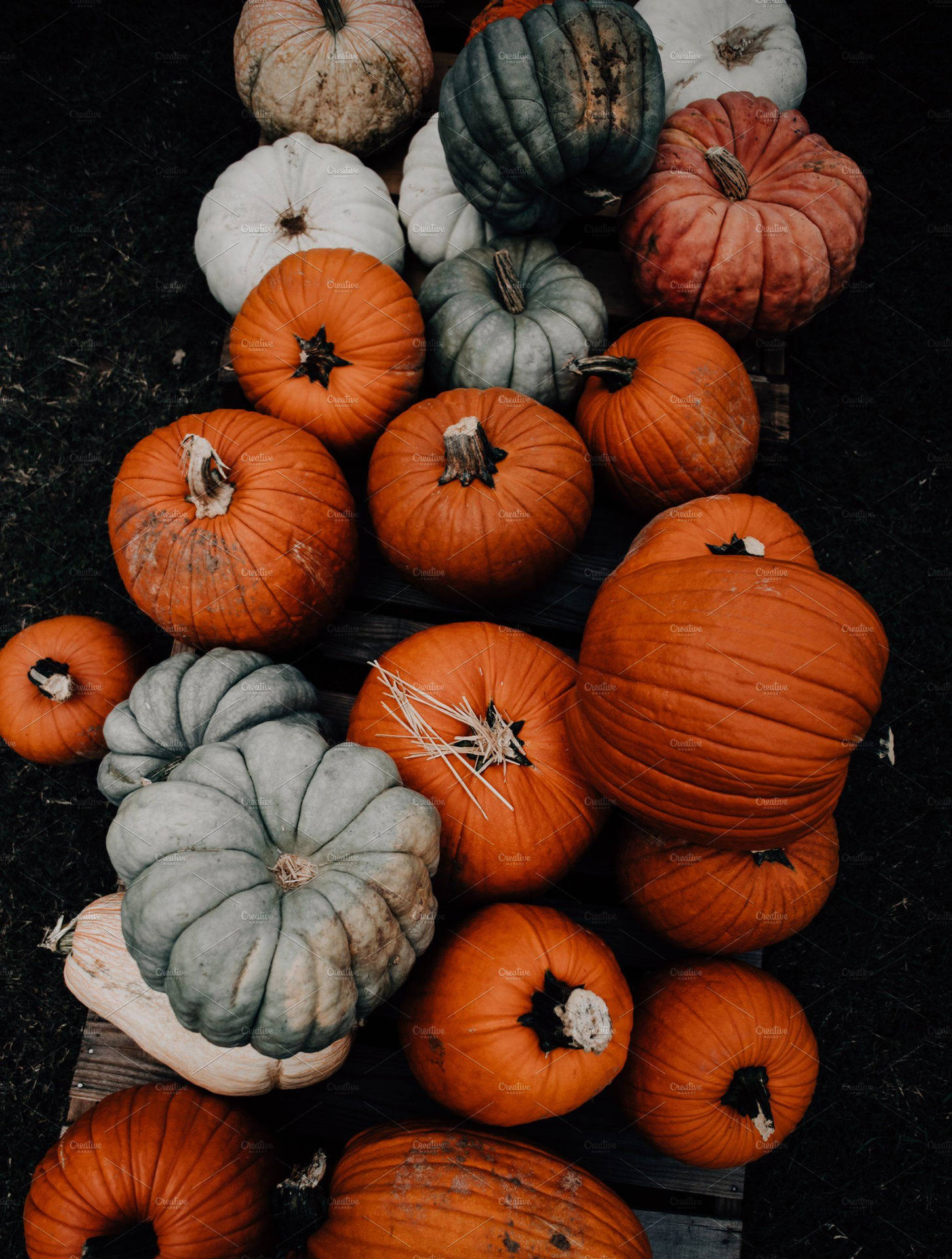 Fall Farm Pile Of Pumpkins Wallpaper