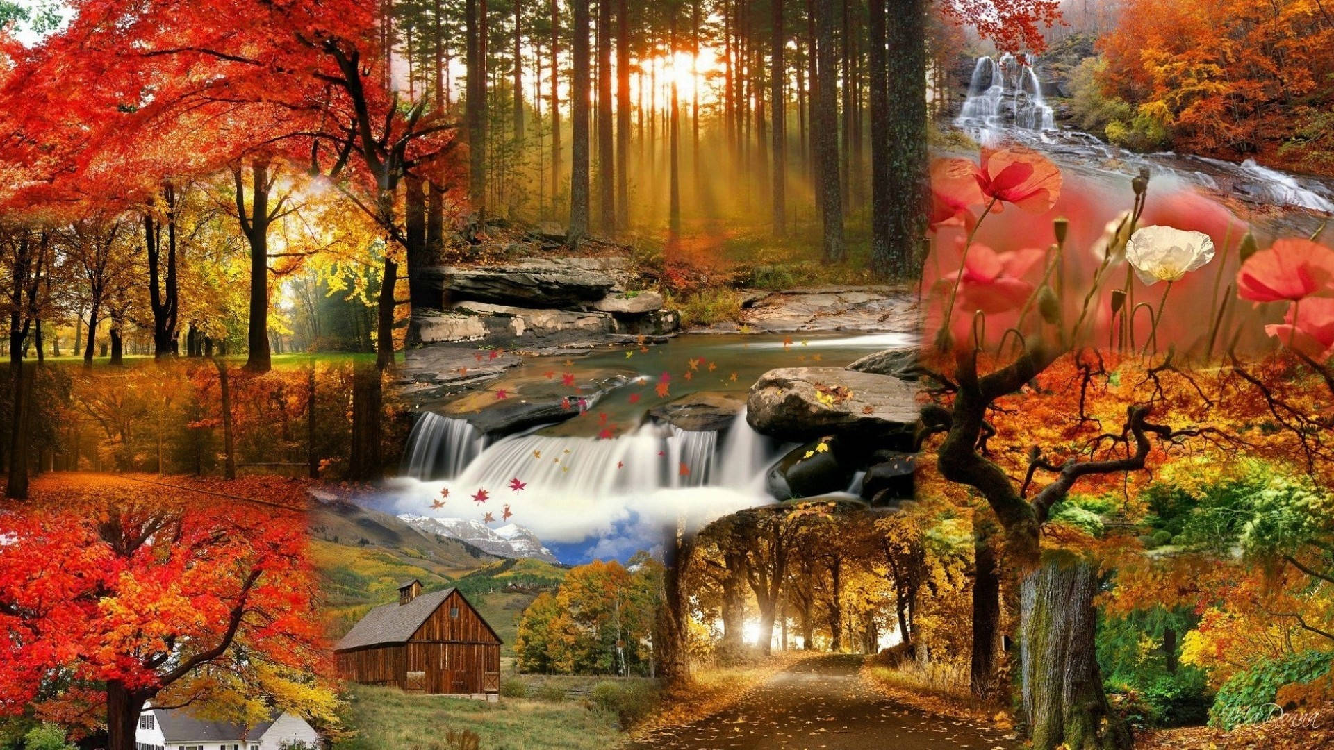 Einklassisches Herbstlandschaftsbild Mit Einer Roten Scheune, Die Sich In Einem Welligen Tal Aus Goldenen Feldern Befindet. Wallpaper