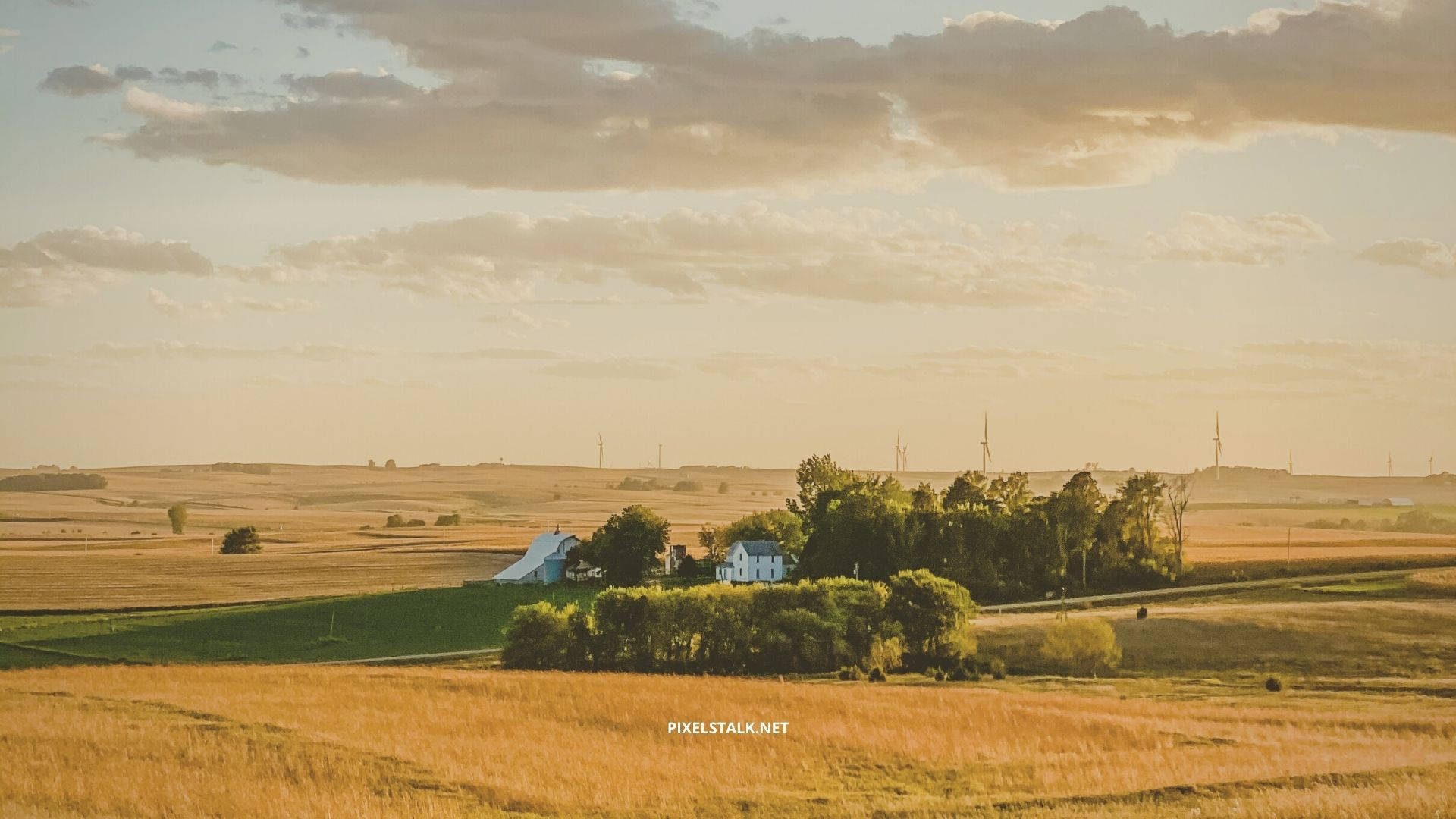 Experience The Beauty Of Fall At Our Family-owned Farm Wallpaper