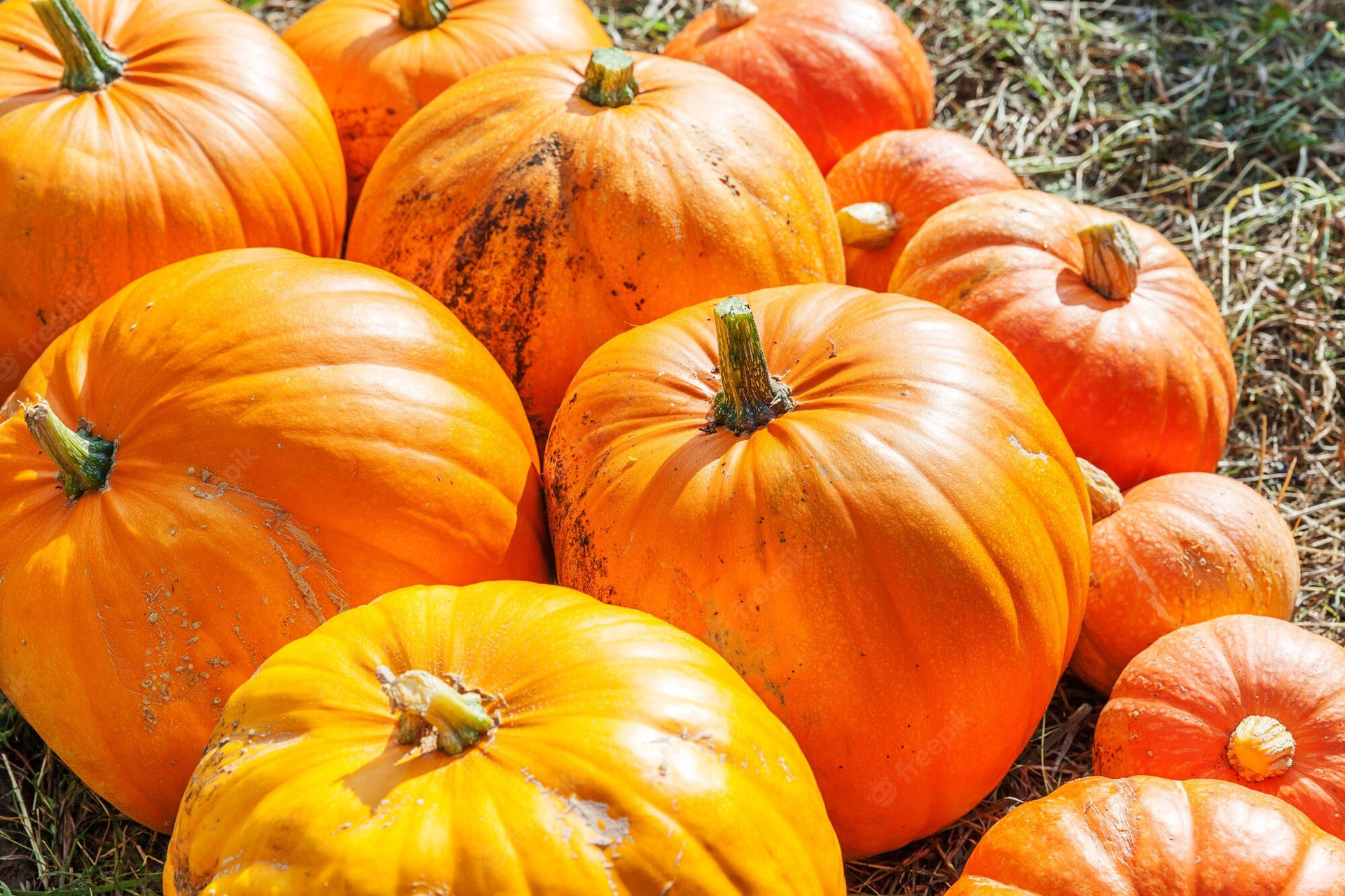 Disfrutade La Tranquila Atmósfera Del Campo En Otoño Fondo de pantalla