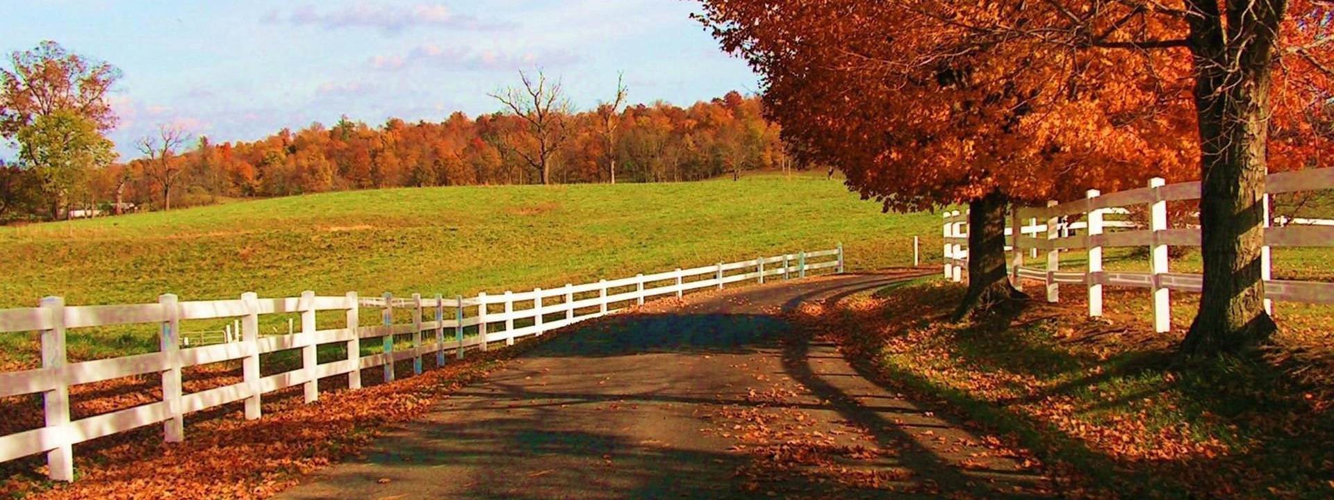 Fall Farm White Fence Road Wallpaper