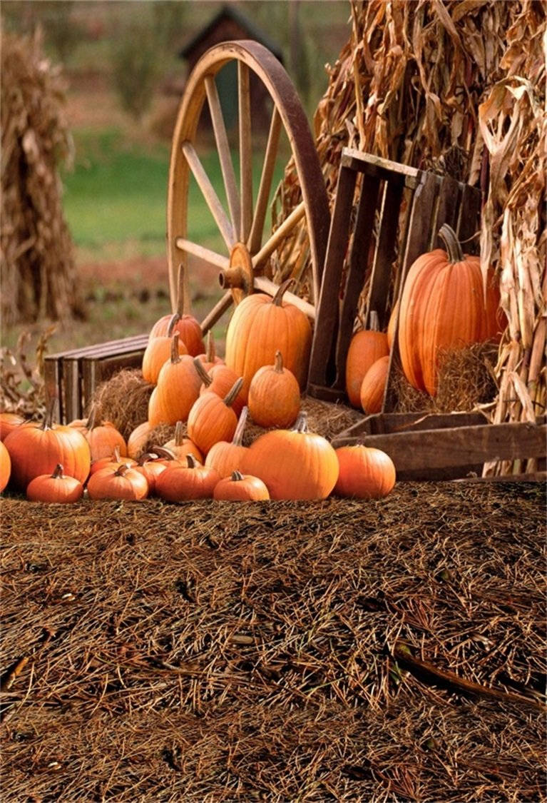 Fall Farm Pumpkin Wheel Ground Wallpaper