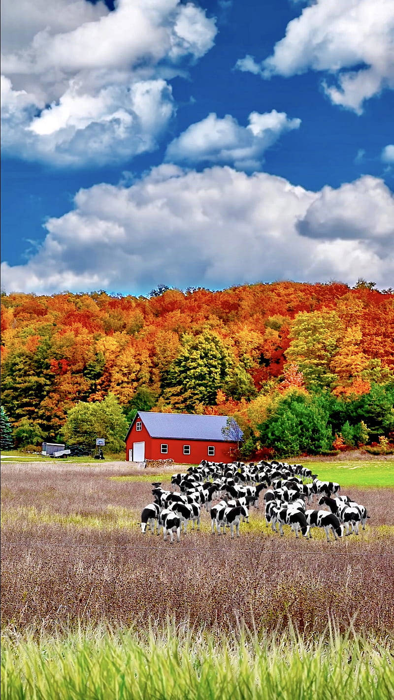 Enjoy The Autumn View At The Fall Farm Wallpaper