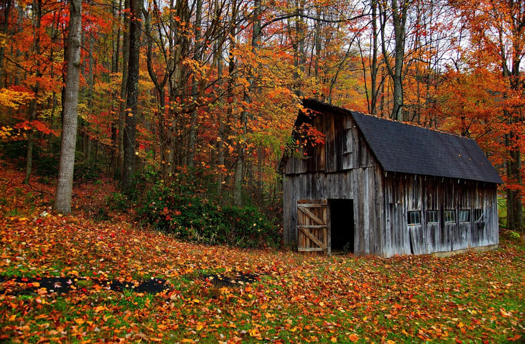 Serene Fall Farmhouse Scene Wallpaper